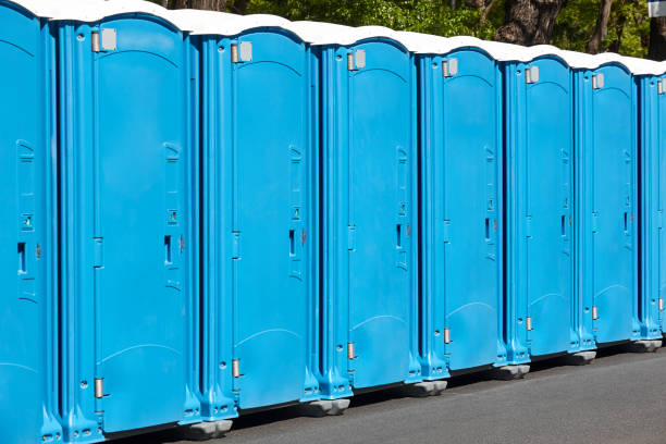 Types of Portable Toilets We Offer in Halesite, NY